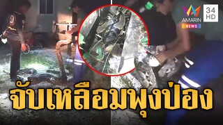 ไอ้เหลือมจอมตะกละ แอบกินแมวจนพุงป่อง กู้ภัย 2 แรงช่วยกันจับ | ข่าวอรุณอมรินทร์ | 8/12/67