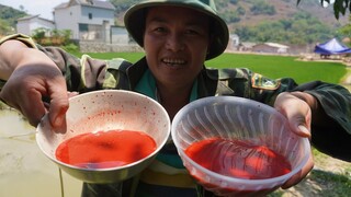 NHÀ CHUNG - Tập 05 | Tiết Canh & Cá Nhảy Xịt