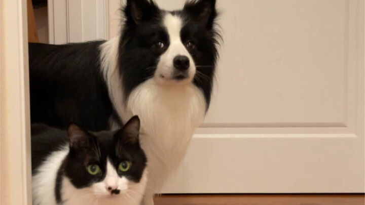 Bagaimana mereka bisa begitu sepakat?!