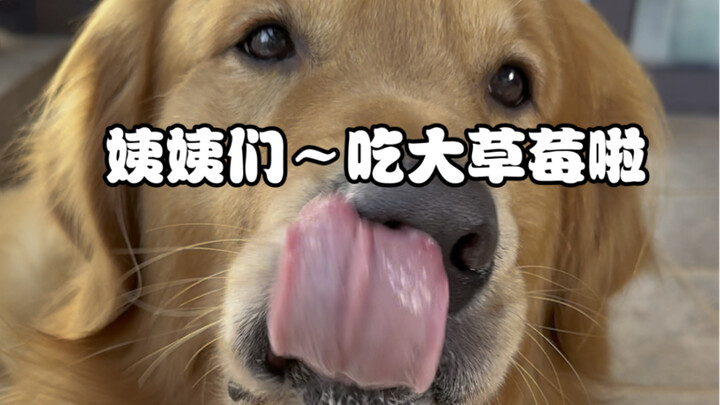 Let me see who’s still eating strawberry butts!