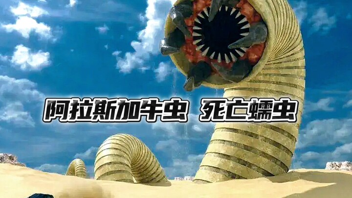 阿拉斯加牛虫和海星受难者到底谁更强？