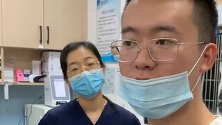 My dog had an anal gland cyst and I just cut it out. The director even called me Mr. Wang.
