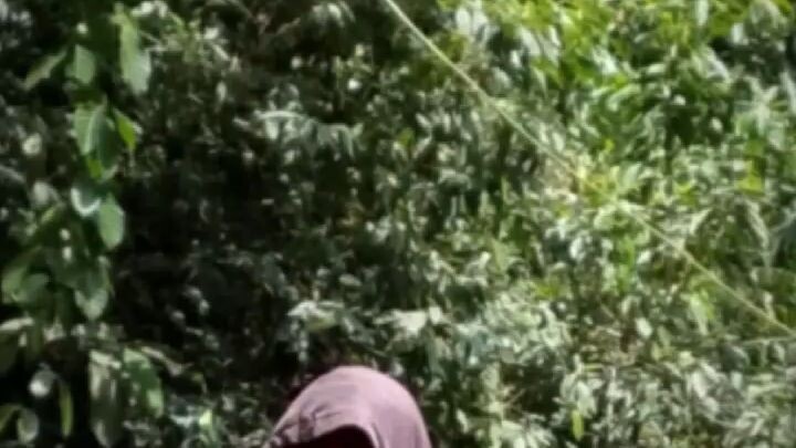 ainoddin ajajahanajajjanajakakja and all AA and ask about the same and if they will as AA are going