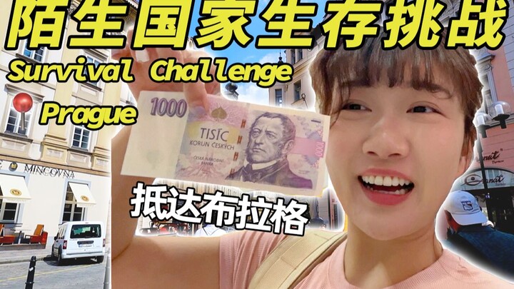 Self-Challenge | After 10 Years of Marriage, Living Alone in a Foreign Country for the First Time Wi