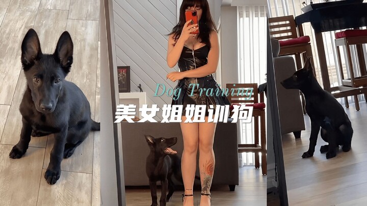 Lihat bagaimana mbak cantik melatih anjing barunya 🐕