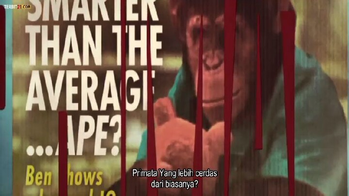 MONYET RABIES 2026 SUB INDO