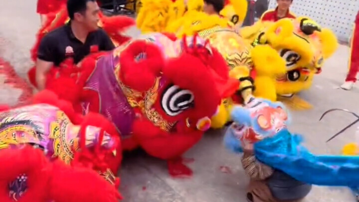 Diaper Lion welcomes the regular army into the village—haha!