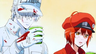 Cells at Work! Finale