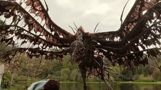 女人只是触碰了一下水面，结果水面竟出现一个漩涡