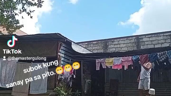 Pigeon street fight.💪💪💪🇵🇭🇵🇭🇵🇭