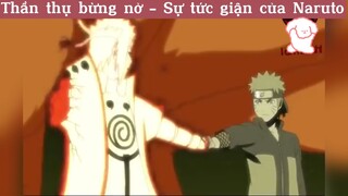 Thần thụ bừng nở - Sự tức giận của Naruto