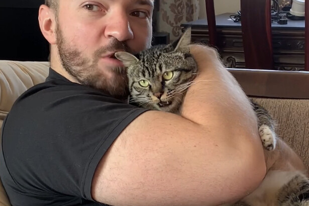 You're just a little kitty, what can you do?