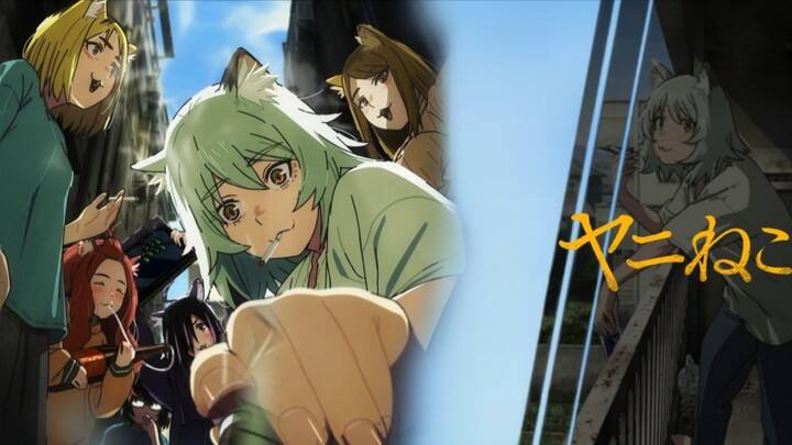 Yani Neko Episode 7 Subtitle Indonesia