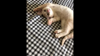 น่ารักจังเลยลูก😳🥰