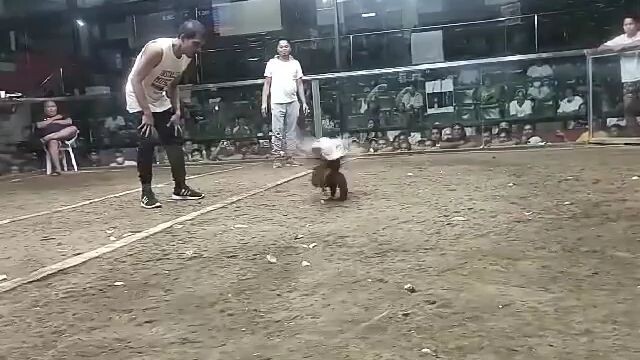 Lose d nsamhan ni Ladyluck ang pachamps.