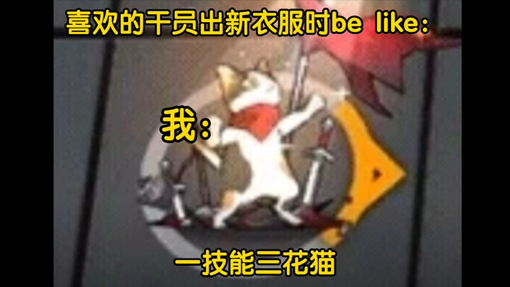 Quá tuyệt, Ark của chúng ta cũng có meme mèo riêng rồi. Nhưng có mấy nhân viên Trại Giam sắp đến kỷ 