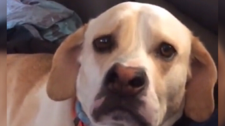 Ini rupa pacarmu saat sedang marah, ya...