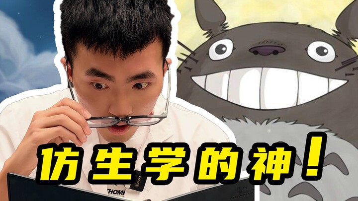 啊？龙猫也能做成车？