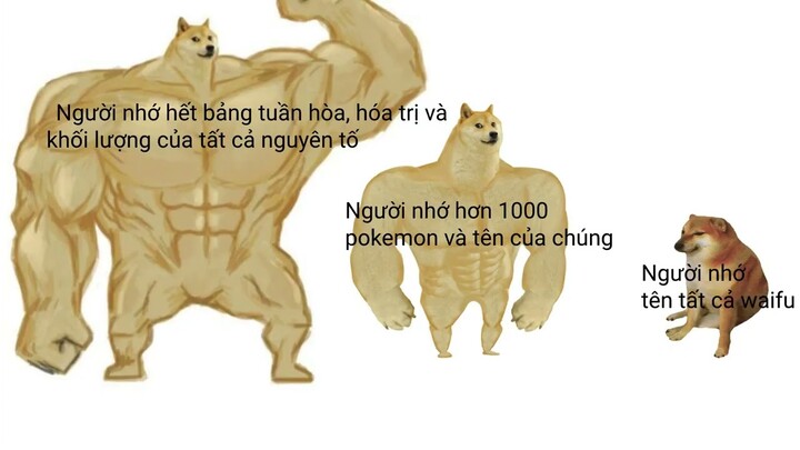 Tổng hợp meme thừa muối cực mặn #22.