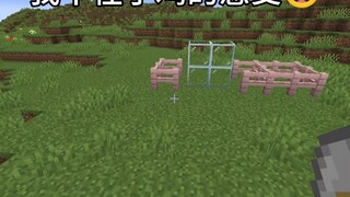 Aku tidak peduli dengan perasaan ayam