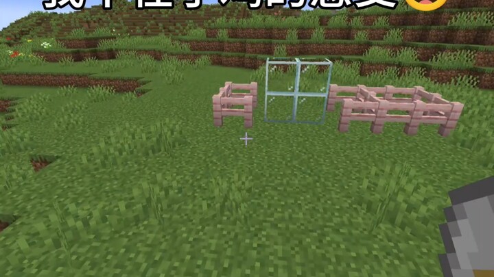 ฉันไม่สนใจความรู้สึกของไก่