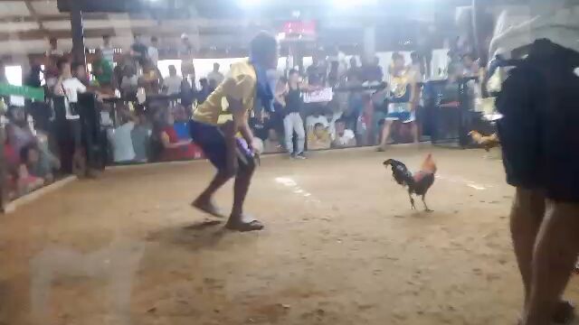 blueface x melcims black