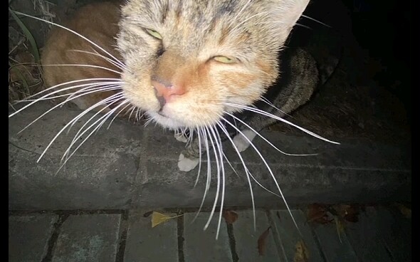 ถ่ายรูปให้หน่อยได้ไหม ตาลืมตาหน่อยสิ!!!