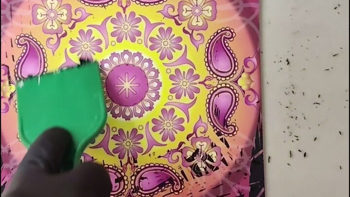 https://youtube.com/shorts/YEq_3rZsAX4