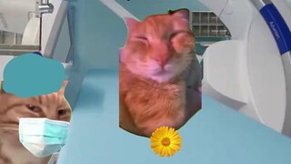 Khi đối tác hẹn hò trực tuyến của bạn cùng giới tính, hãy quên nó đi, nó đã ở đây rồi