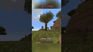 i found the most cursed thing in minecraft