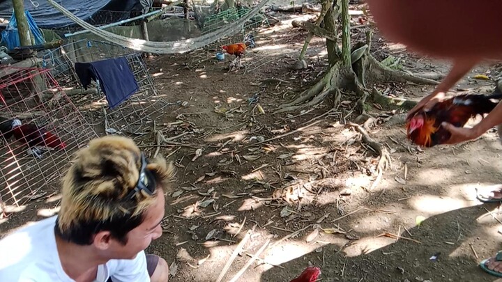 part2 2025  jan . sparring