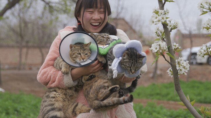 Họp mặt chị em