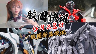 【5月28日胶圈快讯】