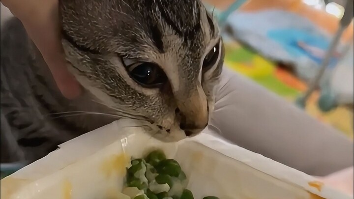 بس خلّوني أتذوّق شو المشكلة!!!