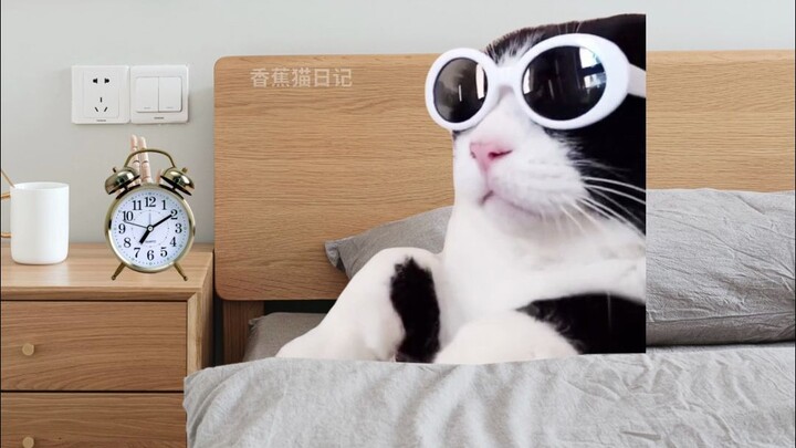 Beberapa Momen Super Seru dalam Hidupku