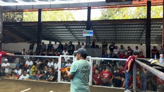 WIN‼️1st Fight - 2 Stag Derby Champ🏆🏆