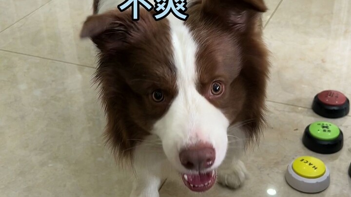 Yuzai: Every day, the competition just gets fiercer.