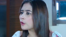 365 Ganteng-Ganteng Serigala