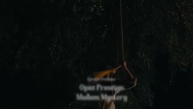 PULUNG PETENG DATANG