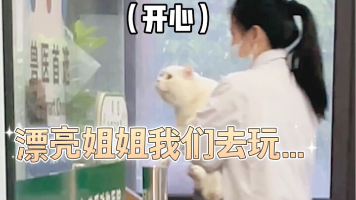 You little pervert cat! I’ll have Miao Miao Zero come and snatch you away!