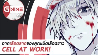 ฉากเลือดสาดของคุณเม็ดเลือดขาวใน cell at work!  (เซลล์ขยันพันธุ์เดือด)