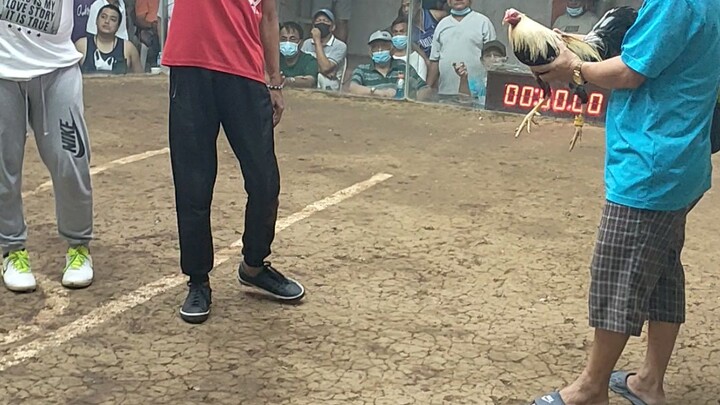 talisay 2win kaso Patay din October 2022