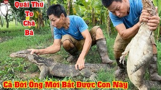 Kích Cá Cả Đời Ông Lão 70 Tuổi Mới Bắt Được Con Quái Thú Kỳ Đà Khủng Đem Làm Thịt Mời Cả Làng