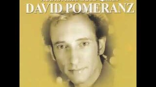 Born for You (David Pomeranz) / cover (ellejanedsb)