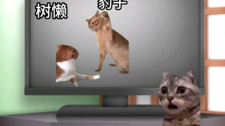 【猫meme】小时候外公说他要给动物世界的豹子打电话的故事