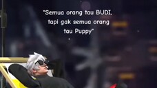 Ada Yang Tau kemana puppy?