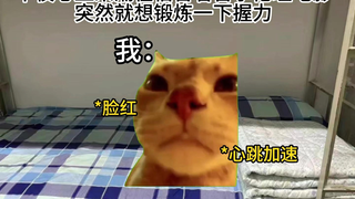 【猫meme】我锻炼握力有错吗