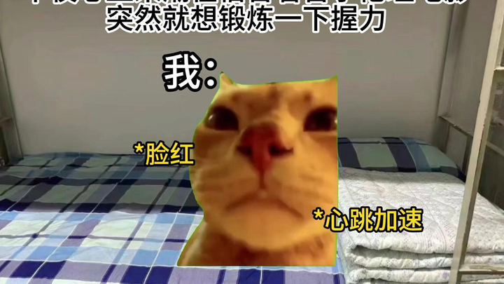 【猫meme】我锻炼握力有错吗