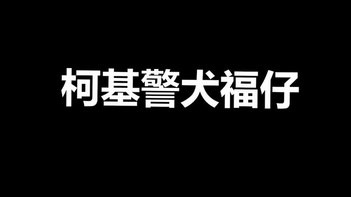 Pet Trivia: Now that Corgi police dog Fuzai is all the rage, you’re probably wondering: Could your o