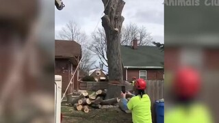 Đỡ không nổi những tình huống khó đỡ #100